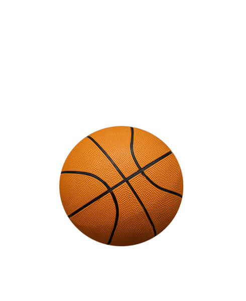 Ballons de basket-ball