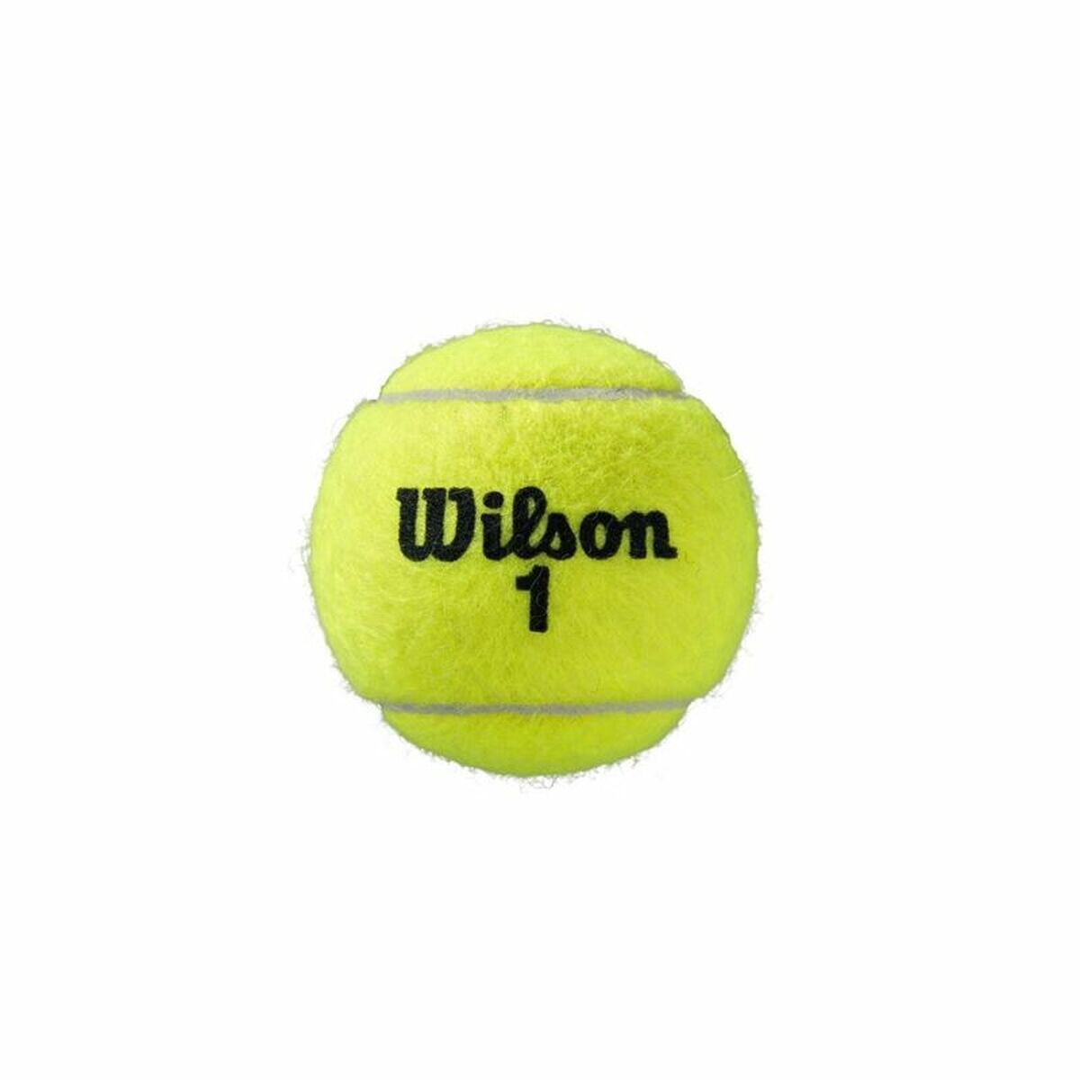 Balles de Tennis Wilson Roland Garros All Court Jaune